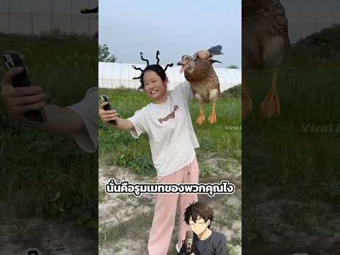 เมื่อเธอลองมาเช่าบ้านราคาถูก thumbnail