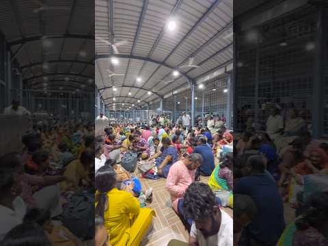 SSD tokens Timings | Homestay for Tirupati and Tirumala Coming Devotees #shorts #tirupathi thumbnail