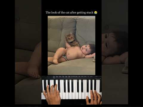 The cat is trapped 😭 thumbnail