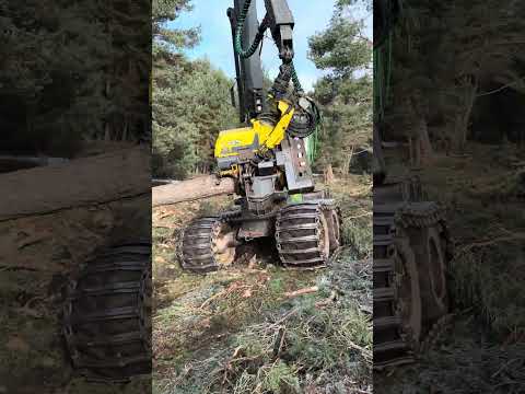 🔥UNSTOPPABLE! The 1270G Destroys Trees in Seconds #harvester #forest #johndeere #tree #lumberjack thumbnail