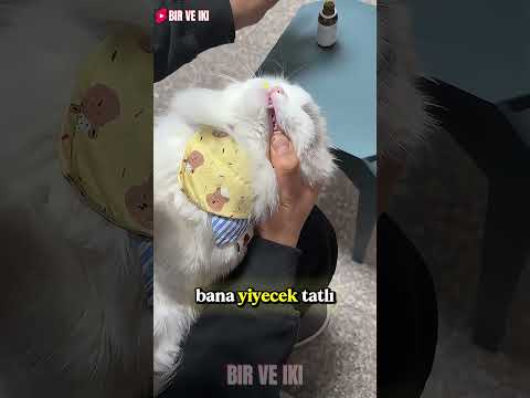 Bu İlacın Tadı Çok Acı! 😱❌ thumbnail
