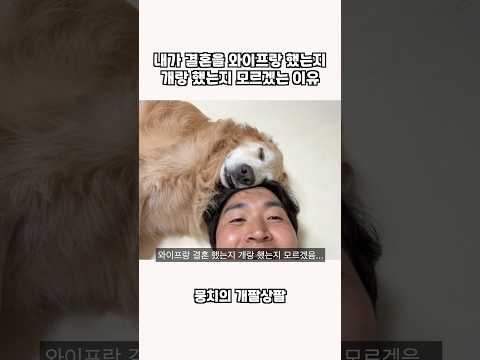 내가 결혼을 와이프랑 했는지 개랑 했는지 모르겠는 이유 thumbnail