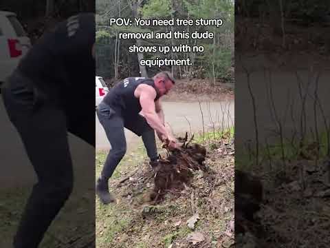 Man vs Nature 🌳 thumbnail