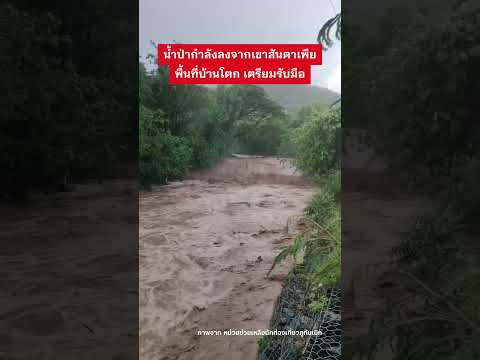 น้ำป่าลงมาจากเขา 14/5/69 #ภูทับเบิก #น้ำป่าไหลหลาก #น้ำท่วม #น้ำป่า #shortvideo #shorts thumbnail