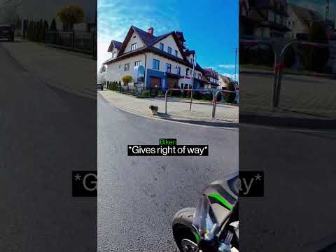 Biker Has The Weirdest Interaction With A Dog… thumbnail