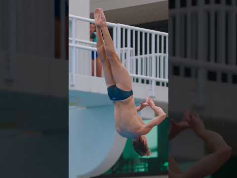 Diving thumbnail