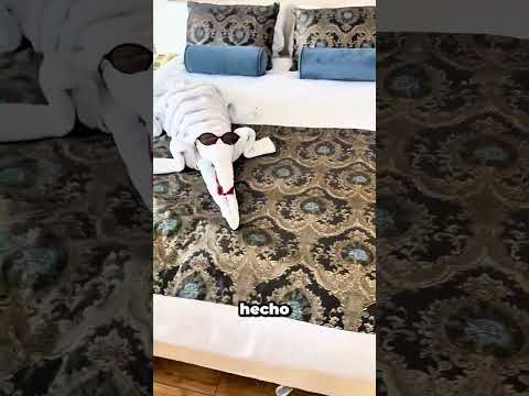 ¿De verdad sirve de algo dar propina al personal del hotel? #hotel #experiment #tips thumbnail