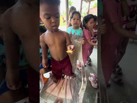 Cuma ikram yang berhasil dapatin hadiahnya #shortsanta #shortsviral thumbnail