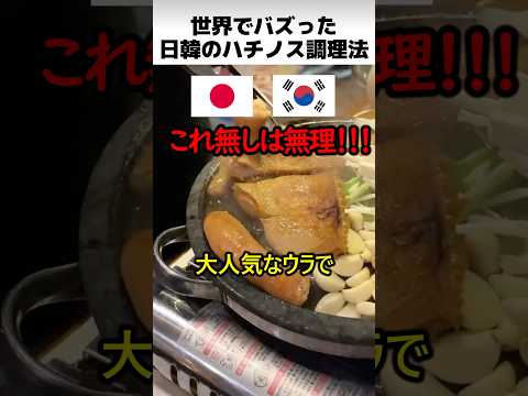 日韓のハチノス調理方法 thumbnail