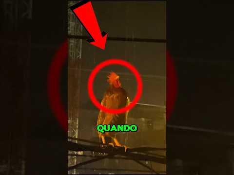 Esses animais sabem quando o fim está chegando 😨 thumbnail