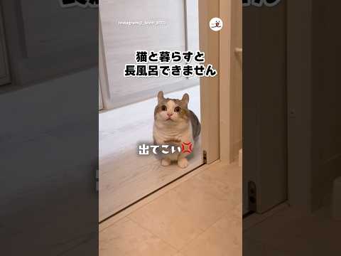 お風呂長すぎ！｜PECO thumbnail