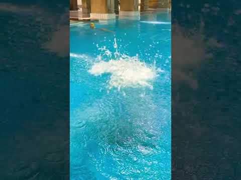 Diving thumbnail