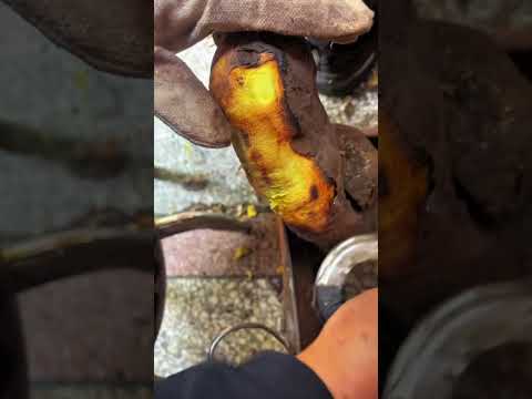 The process of peeling roasted taro- Good tools and machinery make work easy thumbnail