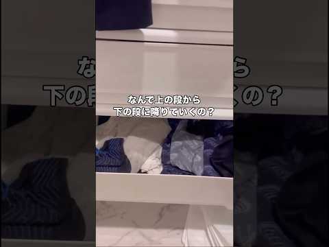 猫ちゃんの謎。 #猫 #甘えん坊猫 #ねこのきもち #shorts thumbnail