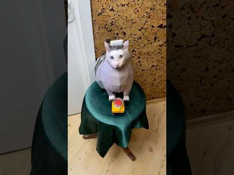 Don't Steal From Huh Cat! 😰🐈‍⬛ thumbnail