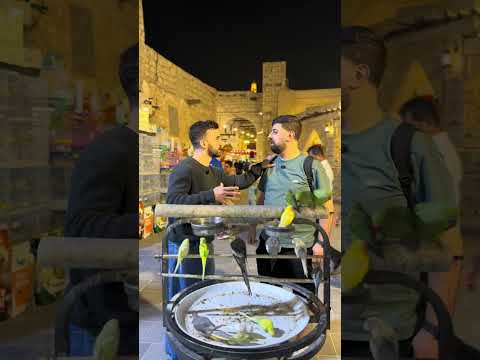 اللي بياخد الحياة تحدي thumbnail
