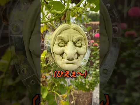 斬新すぎるハロウィンの過ごし方 thumbnail