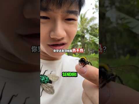 Serangga Ini Diam-Diam Ngikutin Dia Sampai Liburan! #viral #shortvideo thumbnail