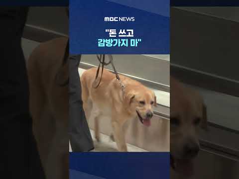 세관 적발 마약이 이 정도?.."돈 쓰고 감방가지 마" #Shorts (MBC뉴스) thumbnail
