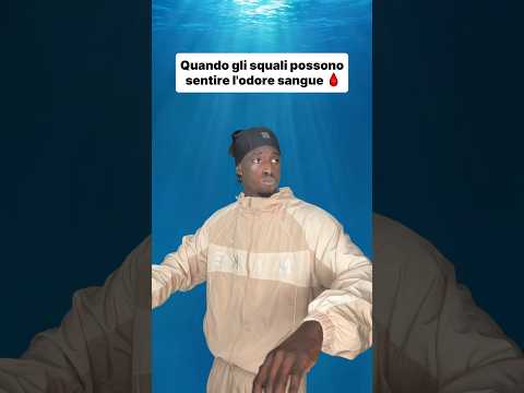 Quando sai questo sugli squali ? thumbnail