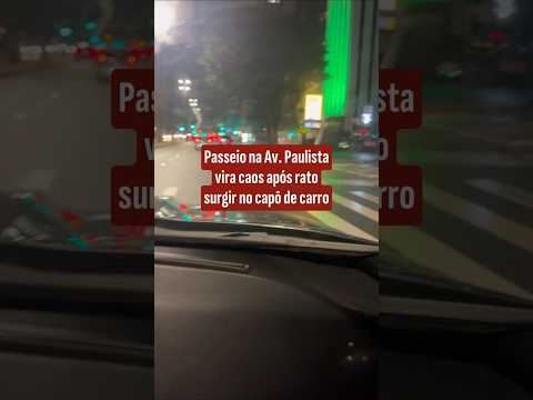 Passeio na Av. Paulista vira caos após rato surgir no capô de carro thumbnail