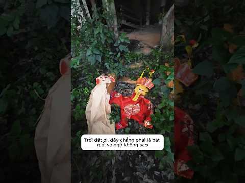 Ngộ không và Bát giới gặp kiếp nạn thumbnail