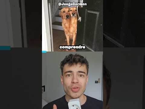Des photos qu'il faut regarder DEUX FOIS pour comprendre thumbnail