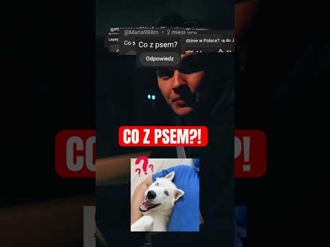 CO Z MOIM PSEM? 🇯🇵🤯 thumbnail