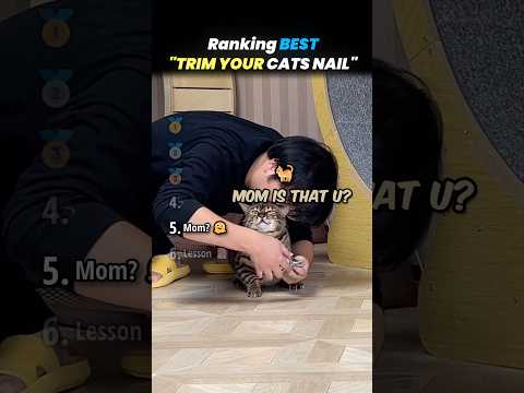 Ranking WAYS TO TRIM YOUR CATS NAILS Core Moments!! 🐱✂️ thumbnail