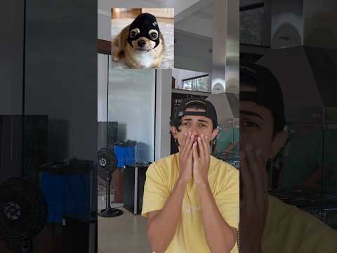 TOUQUINHA PRA JENNY!!!#shorts thumbnail