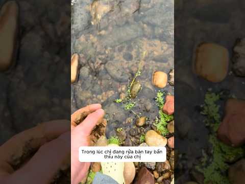 Những bí mật dưới dòng sông lạ thumbnail