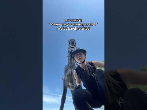 POV: You’ll be home in about 6 hours 😌 #equestrian #horses #horse #horseriding #showjumping thumbnail