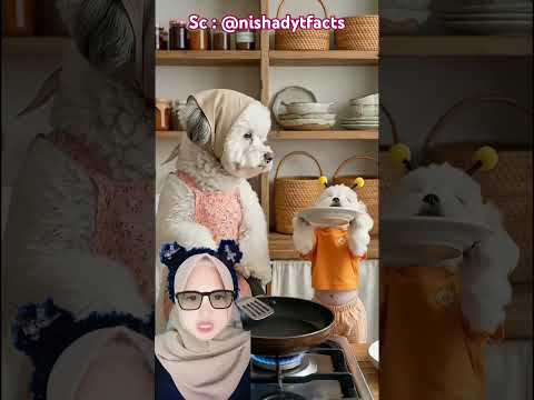 Masak Telur Untuk Si Cantik 😍🍳 @nishadytfacts thumbnail