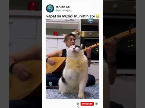 Kedi meyve suyu olmuş😂 thumbnail