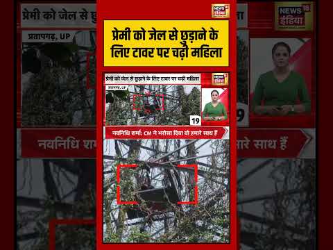 UP News | प्रेमी को जेल से छुड़ाने के लिए टावर पर चढ़ी महिला | #shorts #viralnews #viralvideo thumbnail