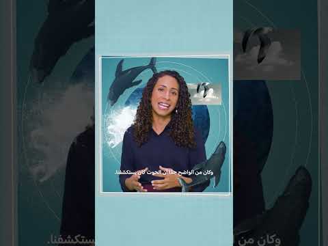 أروع وظيفة | سعاد الحارثي | شهر الأرض مع مستكشفي ناشونال جيوغرافيك | ناشونال جيوغرافيك أبوظبي thumbnail