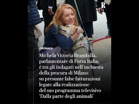False fatturazioni per il programma 'Dalla parte degli animali': indagata Michela Vittoria Brambilla thumbnail