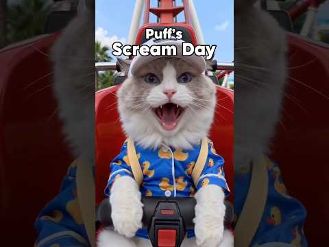 Puff IRL! #thatlittlepuff thumbnail