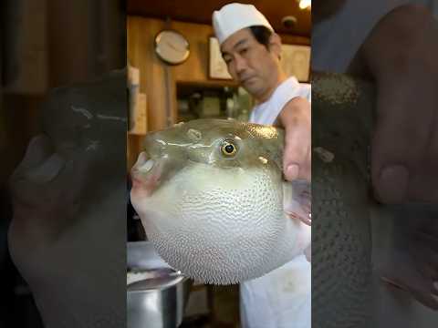 Deadly DELICIOUS Japanese Pufferfish 🇯🇵 🐡 FUGU thumbnail
