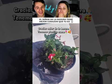 El señor de la basura aplasta su planta por accidente y su increíble reacción te conmoverá thumbnail