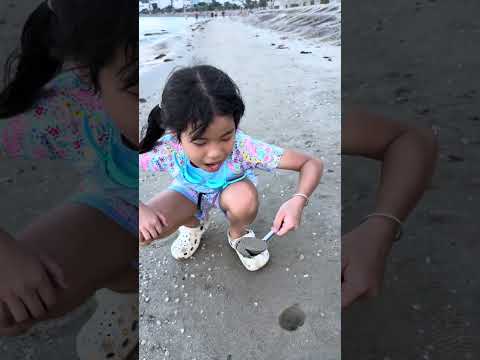 LNS - Ăn 1 thìa cát biển 🥄🏝️🌊 Eat a spoonful of sea sand thumbnail