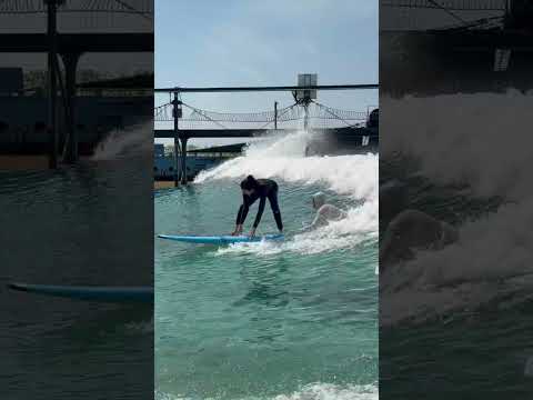 Imagine thinking you can learn how to surf without falling??? #surfing #life thumbnail