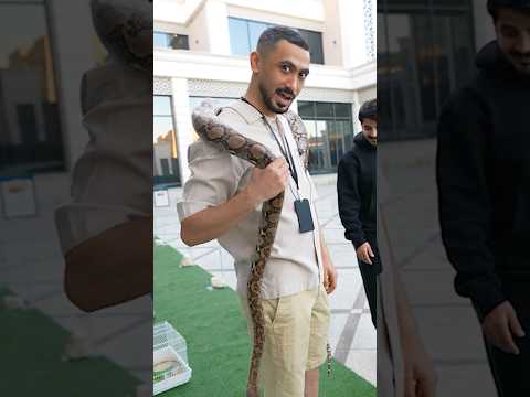 حولت القصر الى حديقة حيوانات!🐵🌲 thumbnail