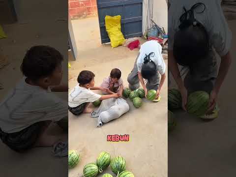Main ke Sungai.....Pulangnya Malah Bawa Ikan Indosiar thumbnail
