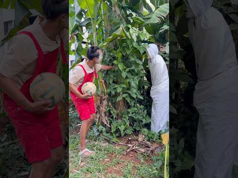 Bego ketemu pocong thumbnail
