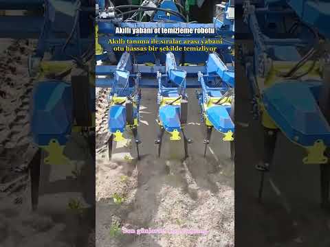 Akıllı yabani ot temizleme robotu #shorts #xinjiang #çin thumbnail