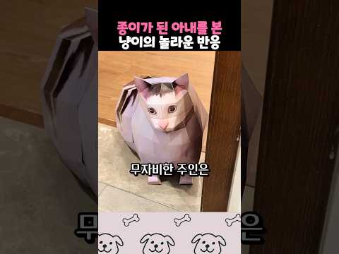 종이가 된 아내를 본 냥이 thumbnail