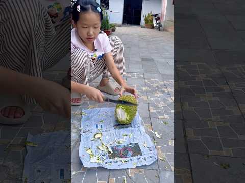 Khi Kỳ báo khui sầu riêng/kỳ kỳ tv & Family #shortvideo thumbnail