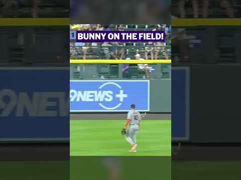 Just hopping through the outfield 🐇 thumbnail