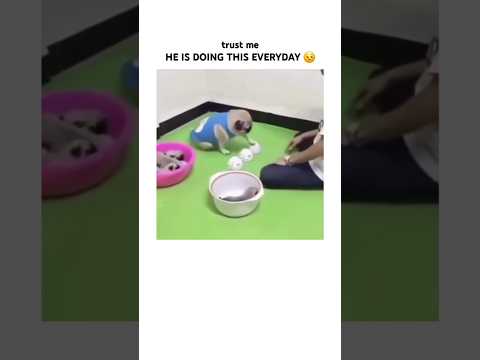 He is fight for Babies 🤭 thumbnail